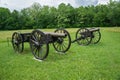 The Canons on Display in Field Royalty Free Stock Photo